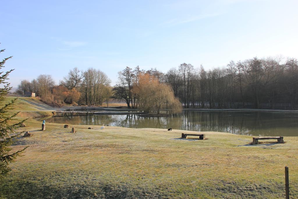 Domaine Du Moulin De L'Etang Bed & Breakfast Chatillon-sur-Marne Exterior photo