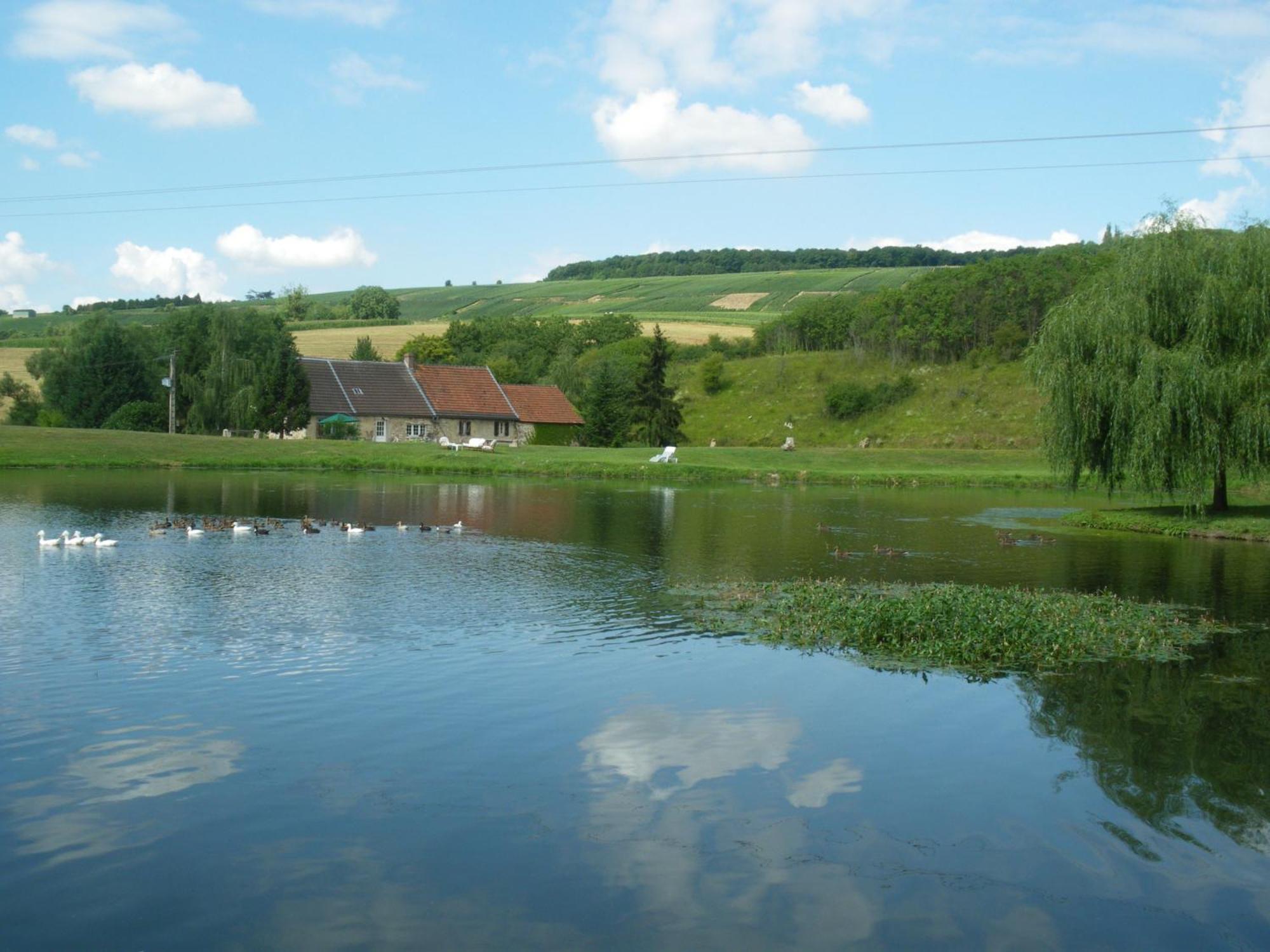 Domaine Du Moulin De L'Etang Bed & Breakfast Chatillon-sur-Marne Exterior photo